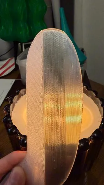 Single translucent petal test held up to the light
