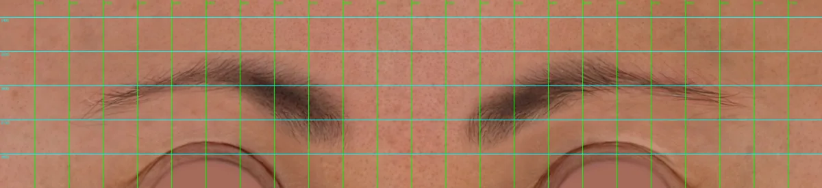 Brow region of the texture with a measurement grid