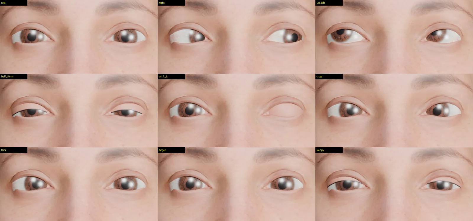Grid of nine renders testing rest, look right, look up-left, half blink, left wink, convergence, trim, target follow and sleepy lids