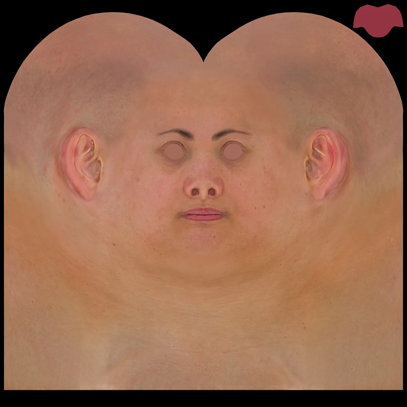 Unwrapped 8K skin texture of the scanned head